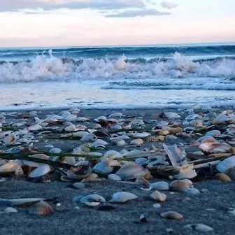 Residenze Mare D'inverno Appartement